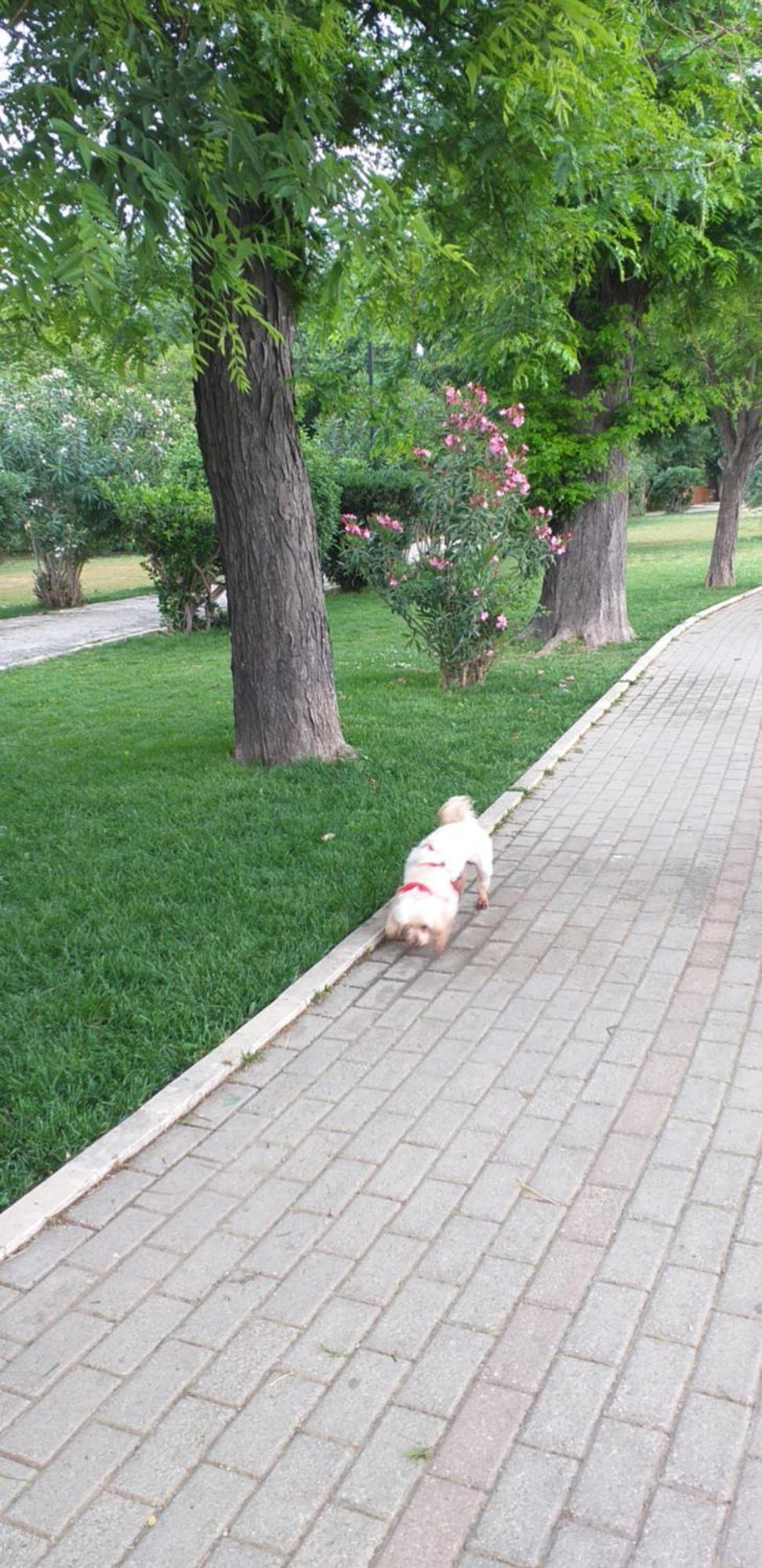 Christy Apartment Corfu  Zewnętrze zdjęcie